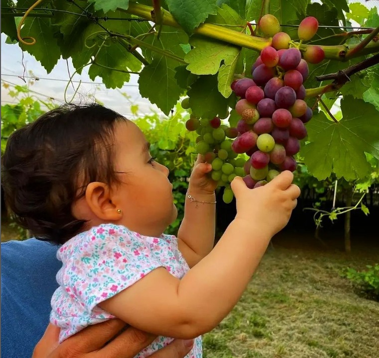 Captura da Web_14-10-2022_145729_www.instagram.com.jpeg