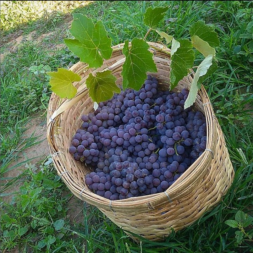 Captura da Web_14-10-2022_14561_www.instagram.com.jpeg