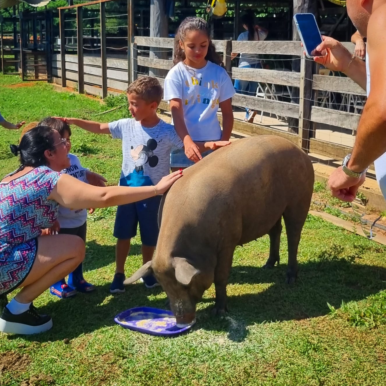 Imagem do WhatsApp de 2023-05-05 à(s) 13.07.24.jpg