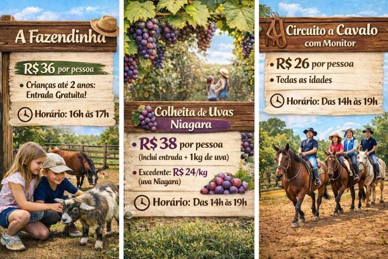 WhatsApp Image 2026-01-10 at 19.03.45.jpeg